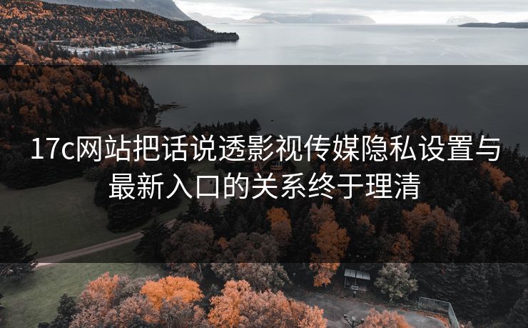 17c网站把话说透影视传媒隐私设置与最新入口的关系终于理清