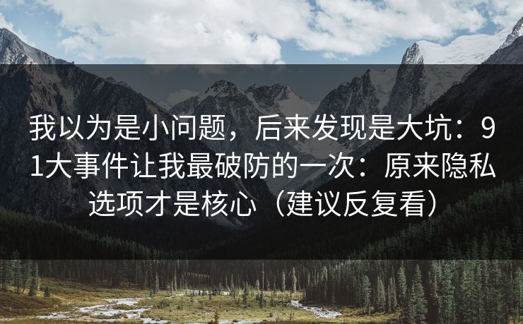 我以为是小问题，后来发现是大坑：91大事件让我最破防的一次：原来隐私选项才是核心（建议反复看）